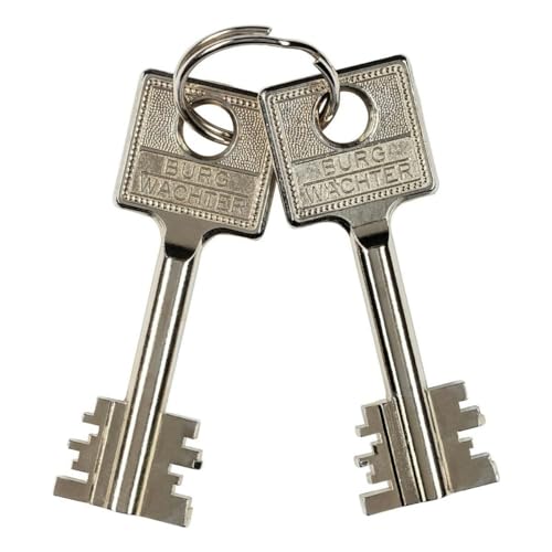 Burg-Wächter Wandtresor, Doppelbartschloss, City-Line, Sicherheitsstufe B, Feuerschutz DIN 4102-A1, CW 5 350 S, Hellgrau, 24,5 l, 18 kg