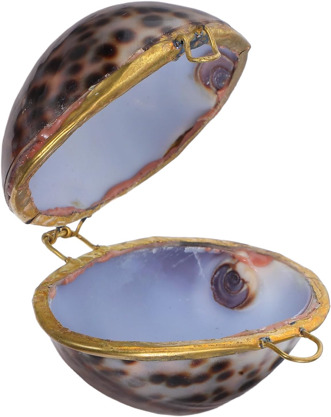 Vaguelly Shell Jewelry Box Earring Organizer Creative Ring 6.5cm for Women