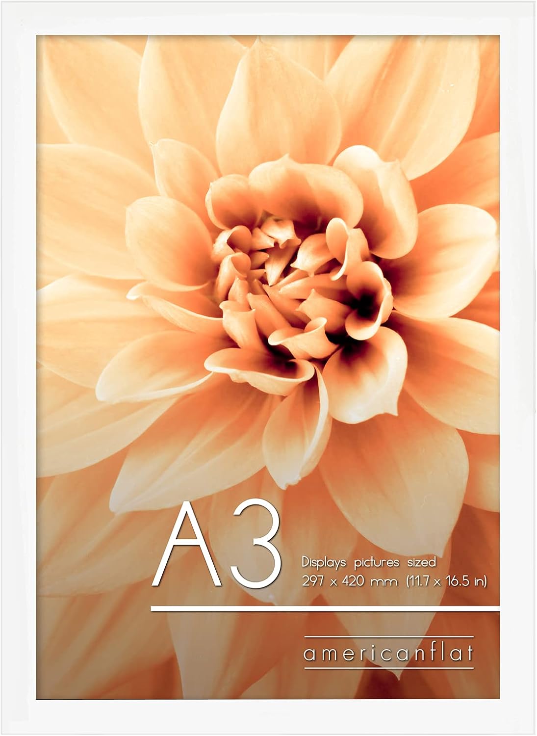 Americanflat A3 Picture Frame in White - Composite Wood with Shatter Resistant Glass - Horizontal and Vertical Formats for Wall - 11.7 x 16.5 in White A3 1 Pack