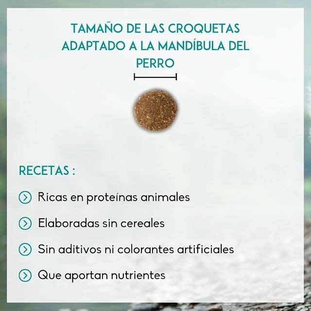 Foto 6 de 7 de NUTRIVET - INNE Chien - Croquetas sin Cereales - Perro Adulto - 80% Ingredientes de Origen Animal - 3 kg