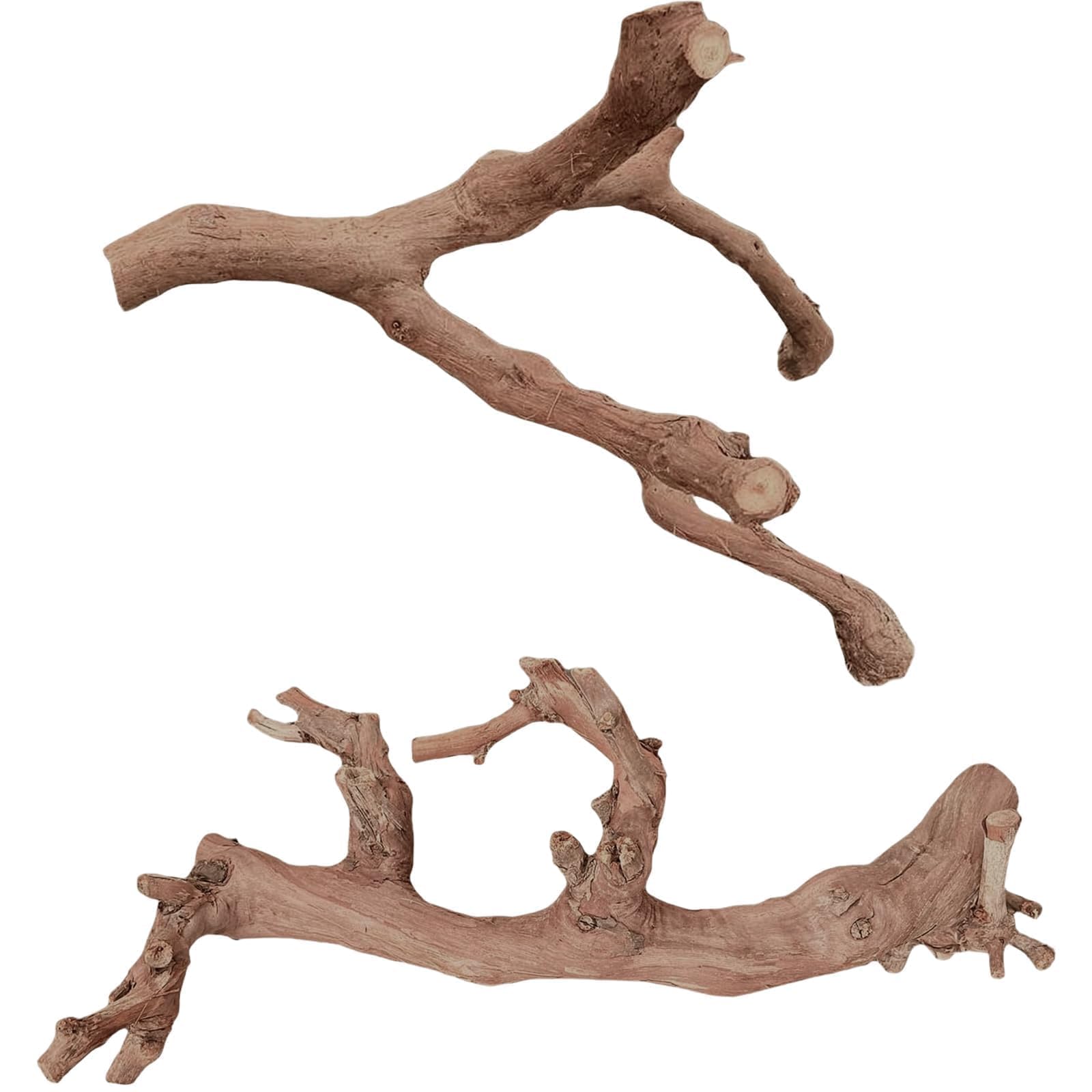 BNOSDM 2PCS Reptile Wood Branches Decor Lizard Habitat Decoration Snake Climbing Branch Accessories Terrarium Tree Trunk Ornament for Bearded Dragon Gecko Frog Chameleon Spider