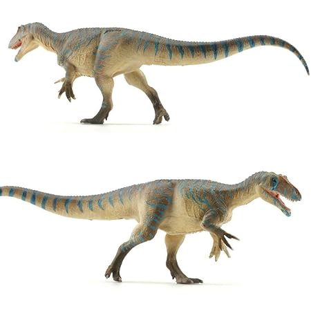 Amazon Vitae キランタイサウルス ジュラシック 獣脚類 恐竜 リアル フィギュア Pvc プラモデル おもちゃ 科学 芸術 模型 こども 孫への誕生日 プレゼント プレミアム 18cm級 インテリア 塗装済 完成品 フィギュア ドール 通販