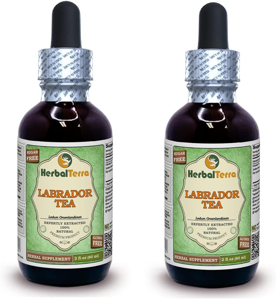 Labrador Tea (Ledum Groenlandicum) Glycerite, Dried Leaves Alcohol-Free Liquid Extract (Brand Name: HerbalTerra, Proudly Made in USA) 2x2 fl.oz (2x60 ml)