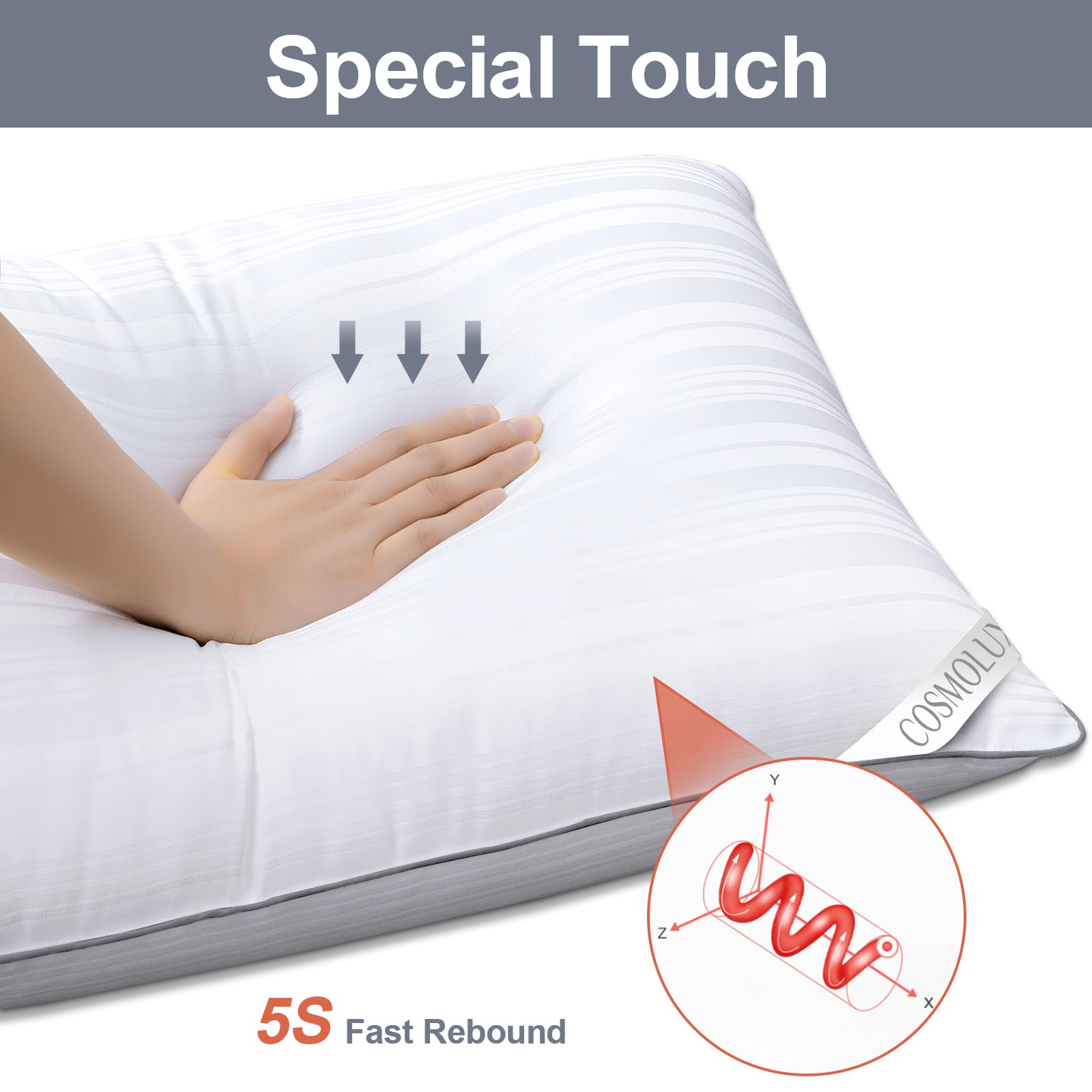BHZ Set di 2 cuscini in piuma d'oca, per letto queen size, collezione hotel, per dormire, cuscino di supporto morbido per chi dorme sul lato e sulla schiena, con tessuto 100% cotone