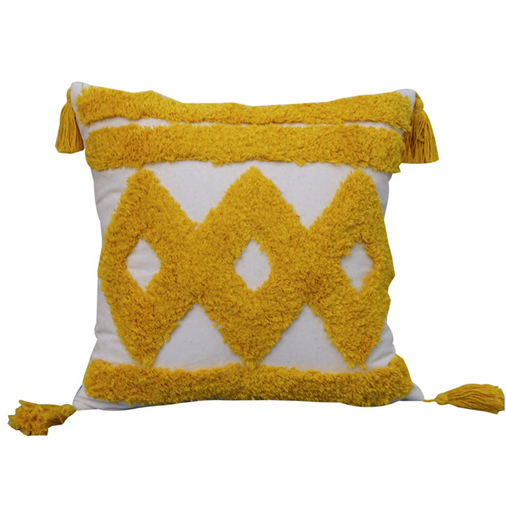 Housse de coussin décorative rustique au tissage touffeté premium