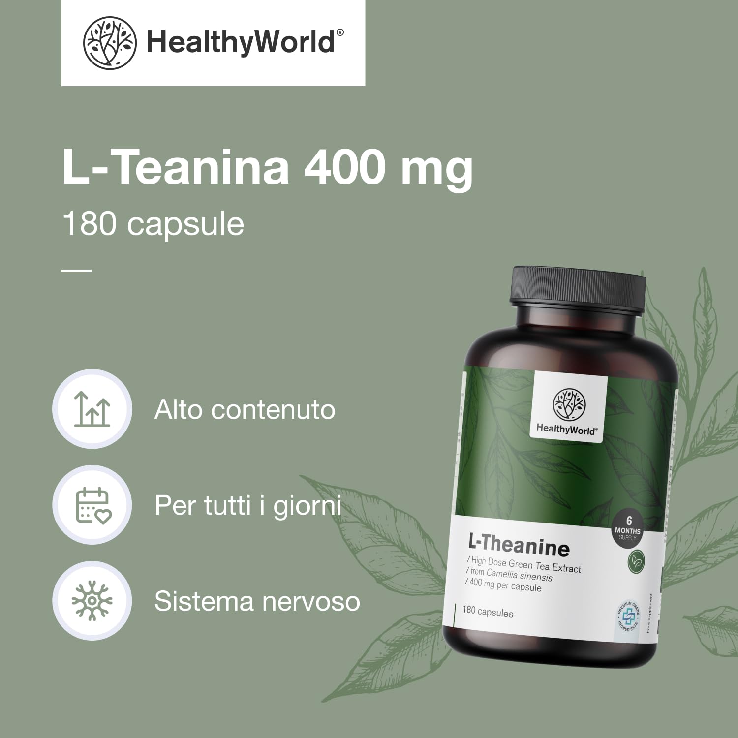 HealthyWorld L-Teanina 400 mg - 180 Capsule - Estratto di tè verde - Alta concentrazione - Aminoacido efficace - Supporto naturale per l'organismo - Vegetariano e non OGM