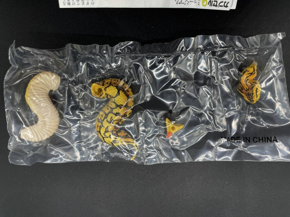 カプセルQミュージアム日本の動物コレクション　ツチノコ　３種 カプセルQミュージアム日本の動物コレクション ツチノコ 3種