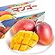 【化粧箱入】【先行受付・2025年発送】ヤマト農園 アップルマンゴー約1kg（優品）