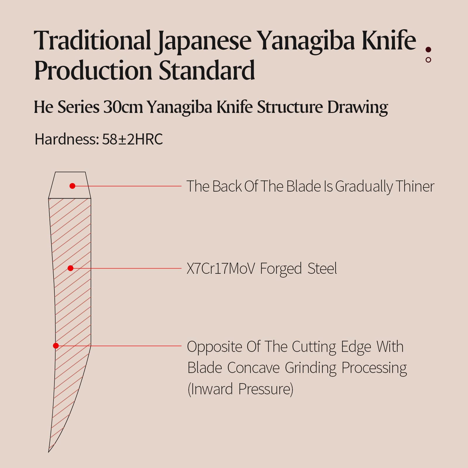 XINZUO 30cm Couteau Sashimi Acier Inoxydable X7Cr17MoV, Couteau à Sushi Yanagiba de l'Artisanat Traditionnel Japonais, Lame Biseautée Unique -Ébène Manche en Bois -Fourreau en Bois de Bouleau