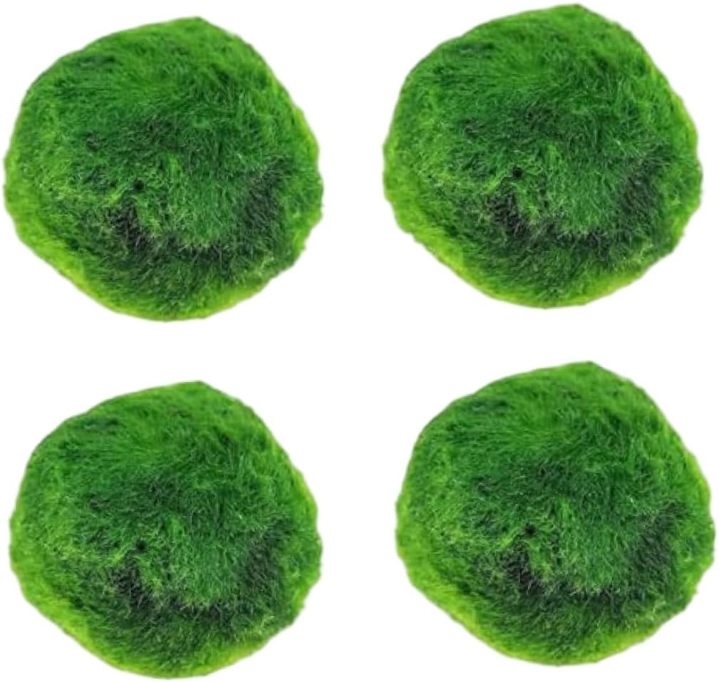 Plantas Naturales, 4-Pack Live Marimo Moss Balls, 2.7-2.9cm After Soaking - Natural Aquarium Plants for Fish Tank Decor & Ecological Bottles, Marimo Planta Viva