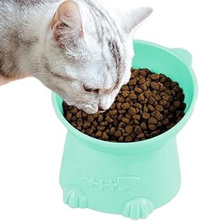 Tigela elevada para gatos, em gato, antivômito, antiderrapante e anti-ruído, para proteger a coluna do animal estimação, tigela inclinada adequada para uso interno gatos