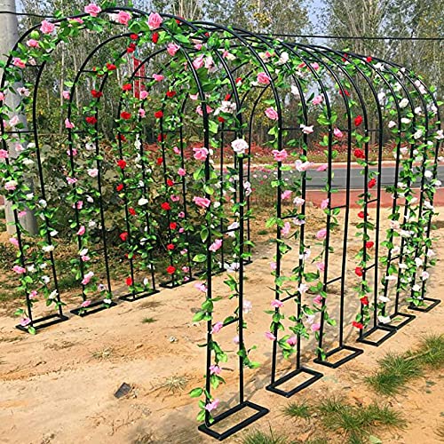 Aide à l'escalade pour rosier grimpant et arche de jardin - 3