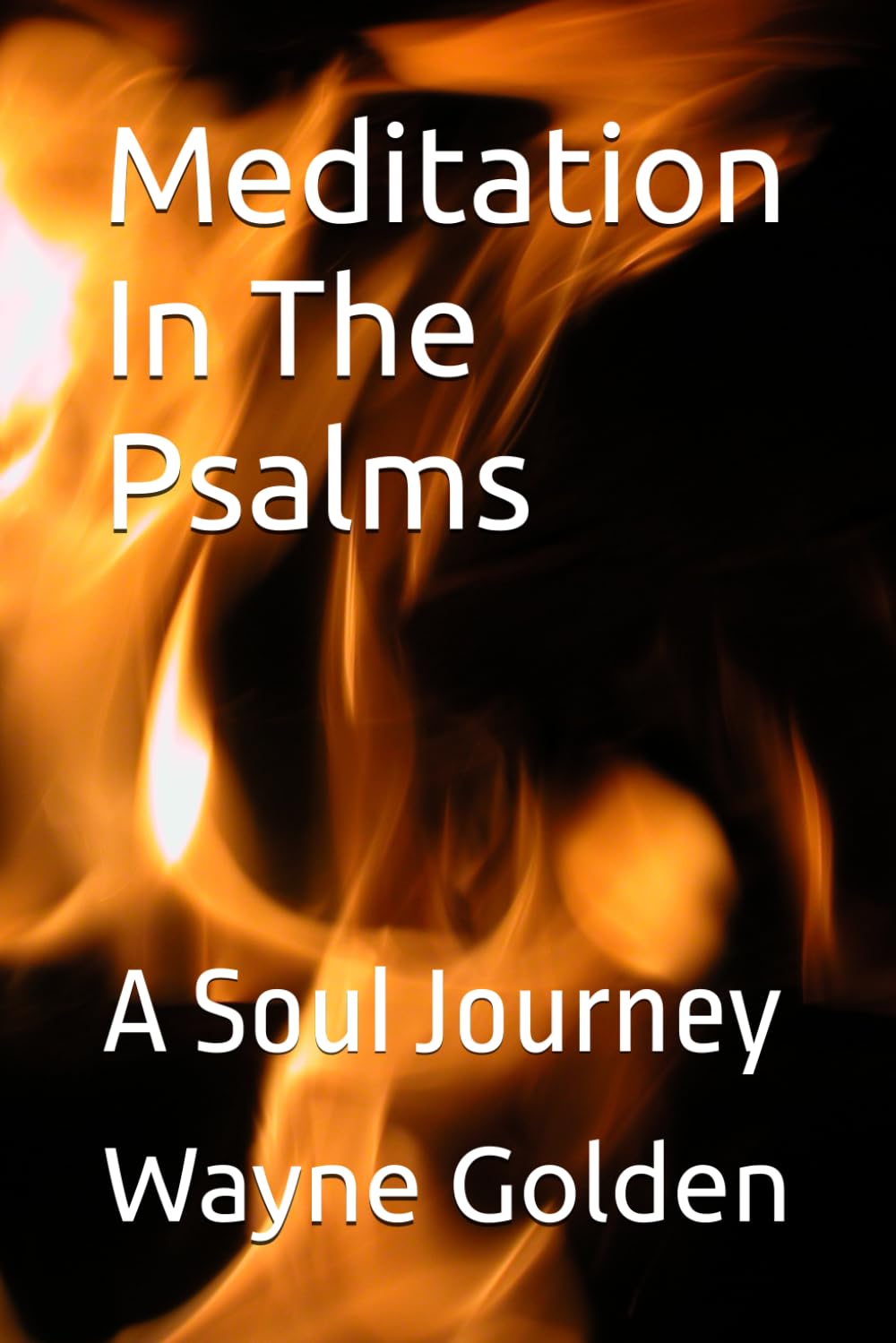 Meditation In The Psalms: A Soul Journey