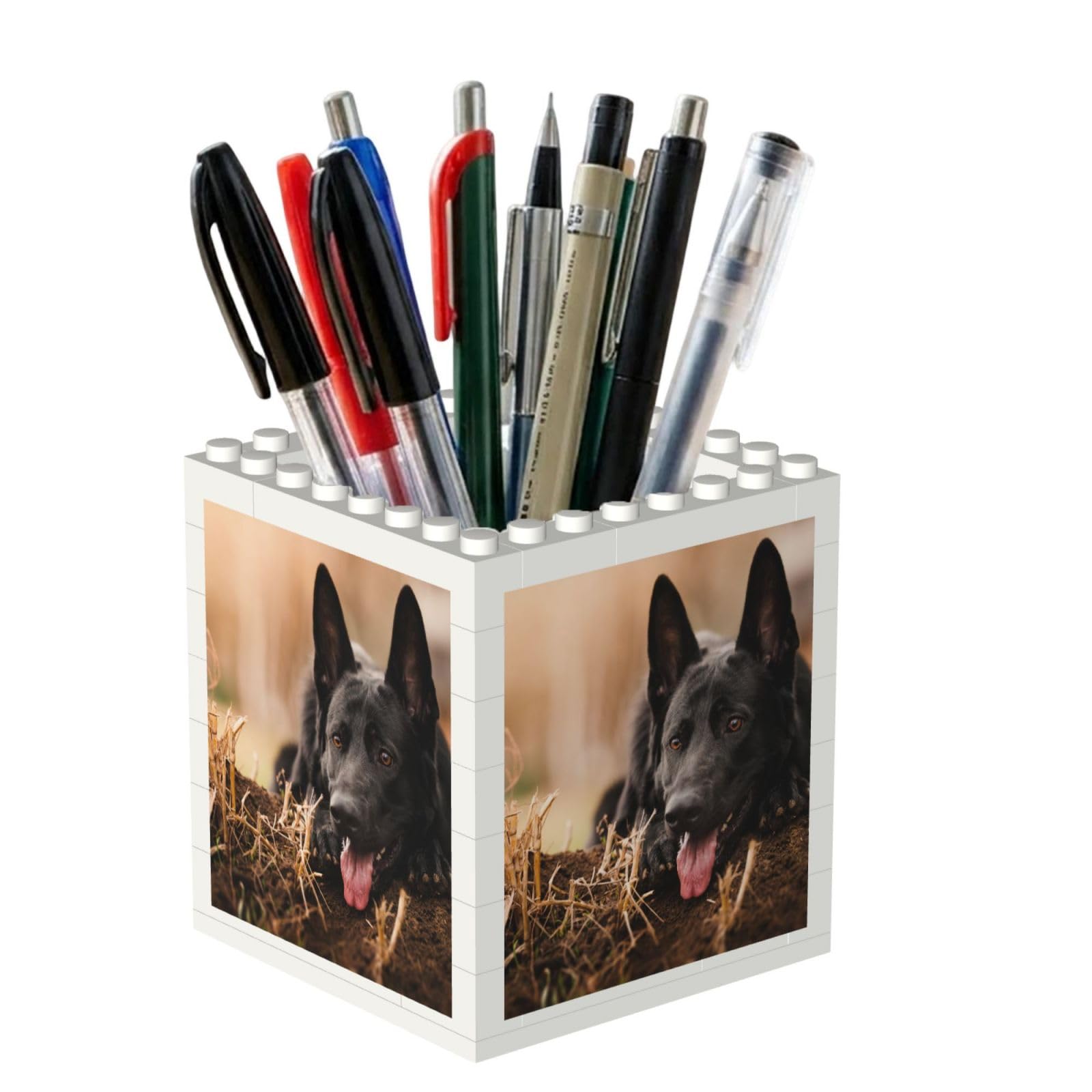 Poadnly Black German Shepherd Lawn Bokeh German, Pen Pot Pencil Holder for Office Home School, Compact Desk Organiser for Office Stationery