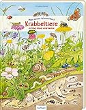 Mein erstes Wimmelbuch: Krabbeltiere in Feld, Wald und Wiese: Die Welt der Insekten für Kinder ab 3 Jahre - Christine Henkel 