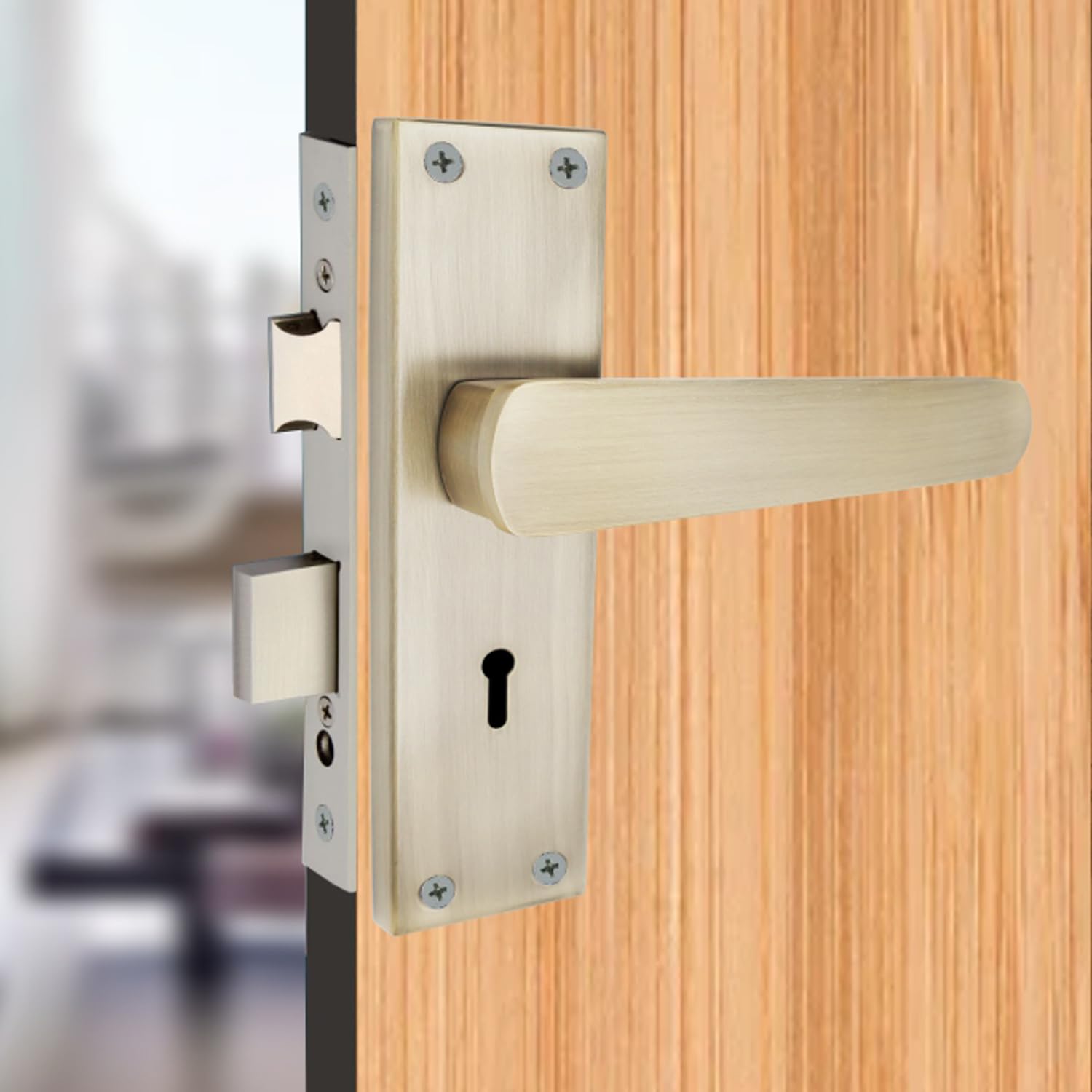 Harrison Door Locks for Main Door, Door Lock for Bedroom, Mortise