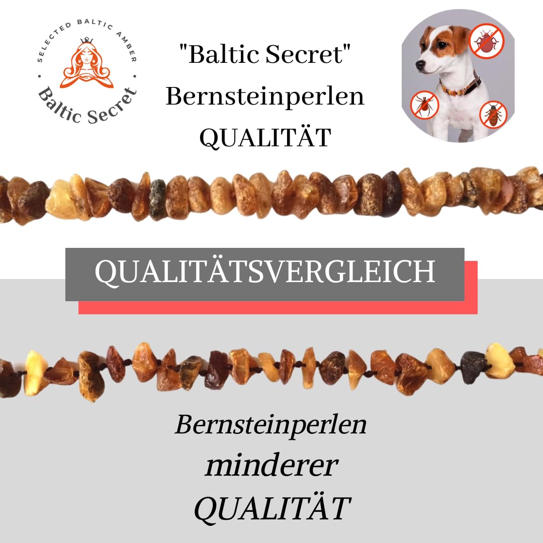 iLikeAmber. com Baltic Secret Collier pour chien & chat de Baltic Secret/en 100% ambre véritable Ambre Ambre/ la pProtection naturelle contre les tiques /chien tique Protection/chien – Collier/ la vermine Collier Chat et Chien/ Toutes les tailles