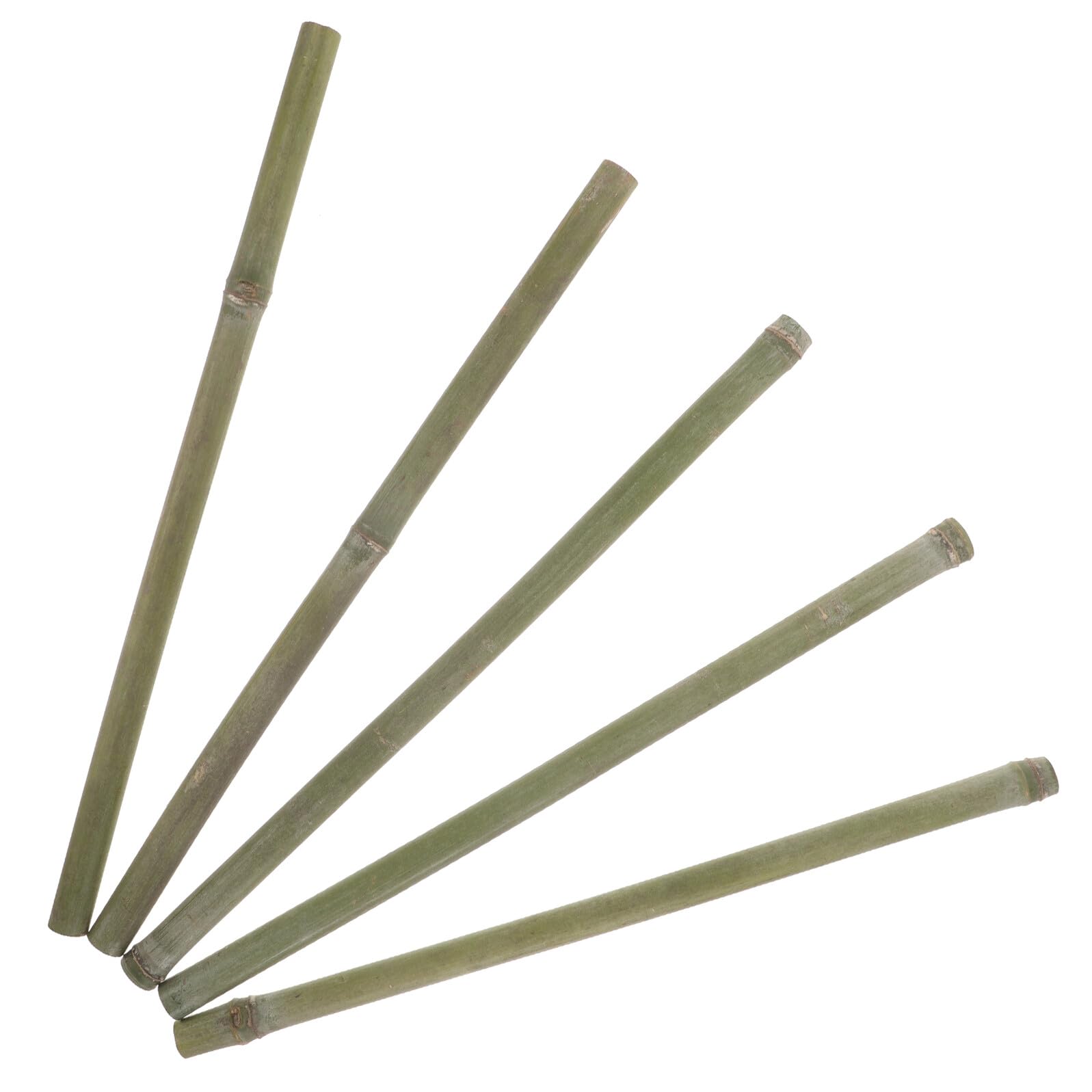 Tuteurs en bambou pour redresser les plantes qui tombent en pot