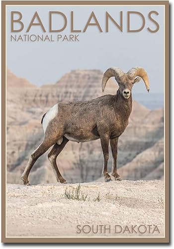 Badlands National Park Bighorn Sheep, Dakota del Sur, imán para nevera tamaño 2.5 x 3.5 pulgadas Badlands National Park Bighorn Sheep, Dakota del Sur, imán para nevera tamaño 2.5 x 3.5 pulgadas