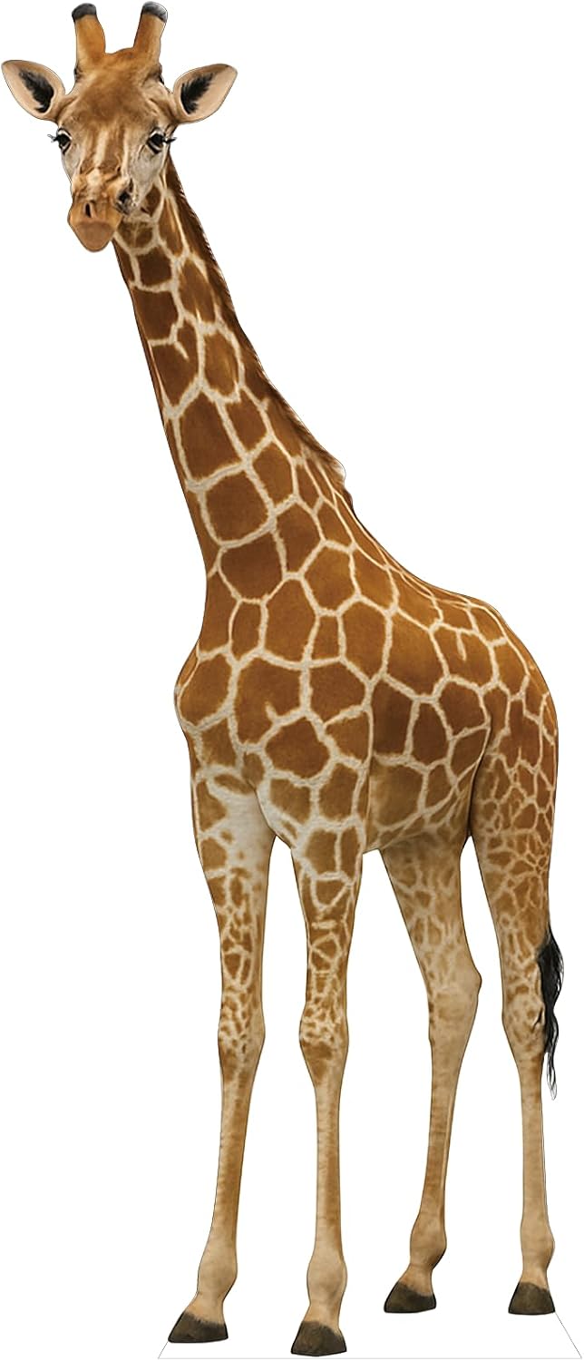 Giraffe 6FT Life Size Cardboard Cutout, Fun Animal Standup, Perfect for Events, Party Decor, Birthday and Photos, 1 PC