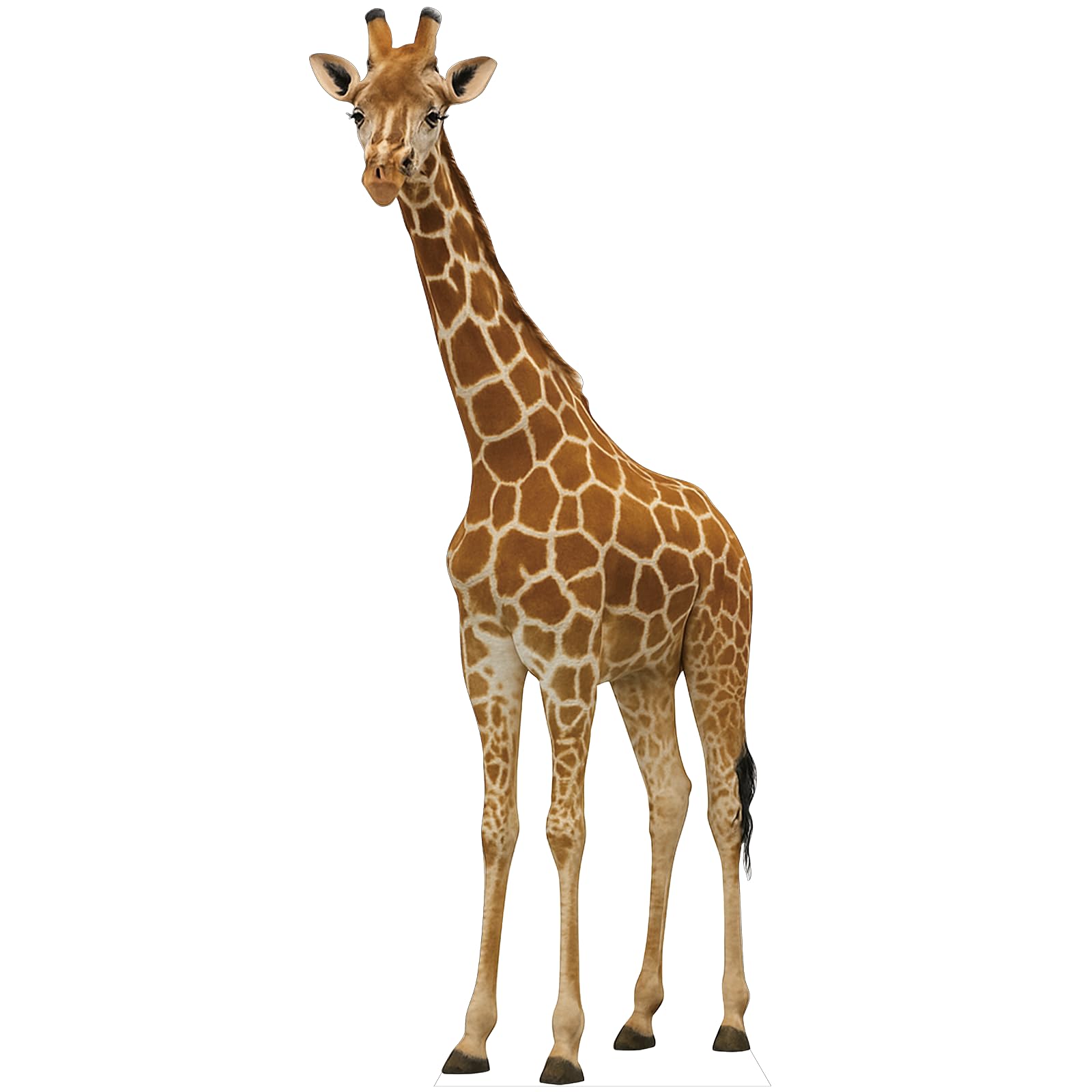 Giraffe 3FT Life Size Cardboard Cutout Standup, 1 PC