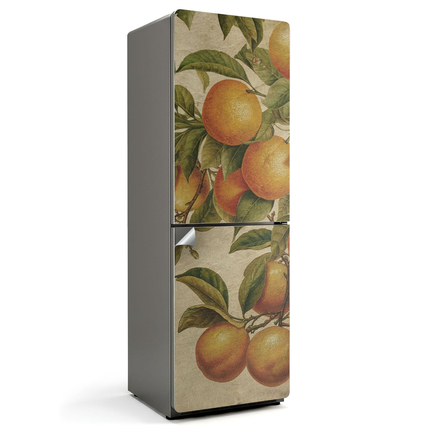 Stickers pour réfrigérateur 60x180 cm décoration cuisine fruits