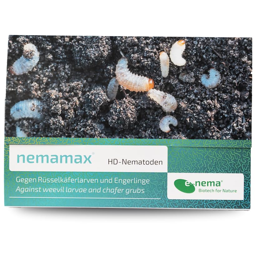 Dickmaulrüssler & Engerlinge ab 8°C bekämpfen mit nemamax® HD-Nematoden | 25 Mio. für 100 m² | Nematoden von e-nema