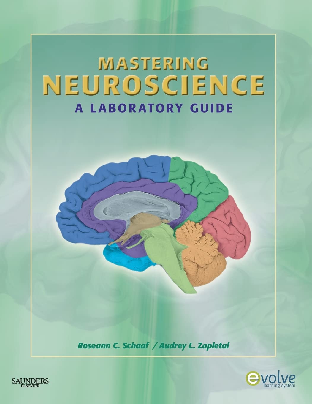 Mastering Neuroscience : A Laboratory Guide