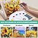 54 Pieces Watercolor Paint Set with Tabletop Easel, Complete Starter Painting Art Supplies with Watercolor Paints, Canvases, Sketch Pads, Brushes and Palette for Beginners Young Artists and Adults