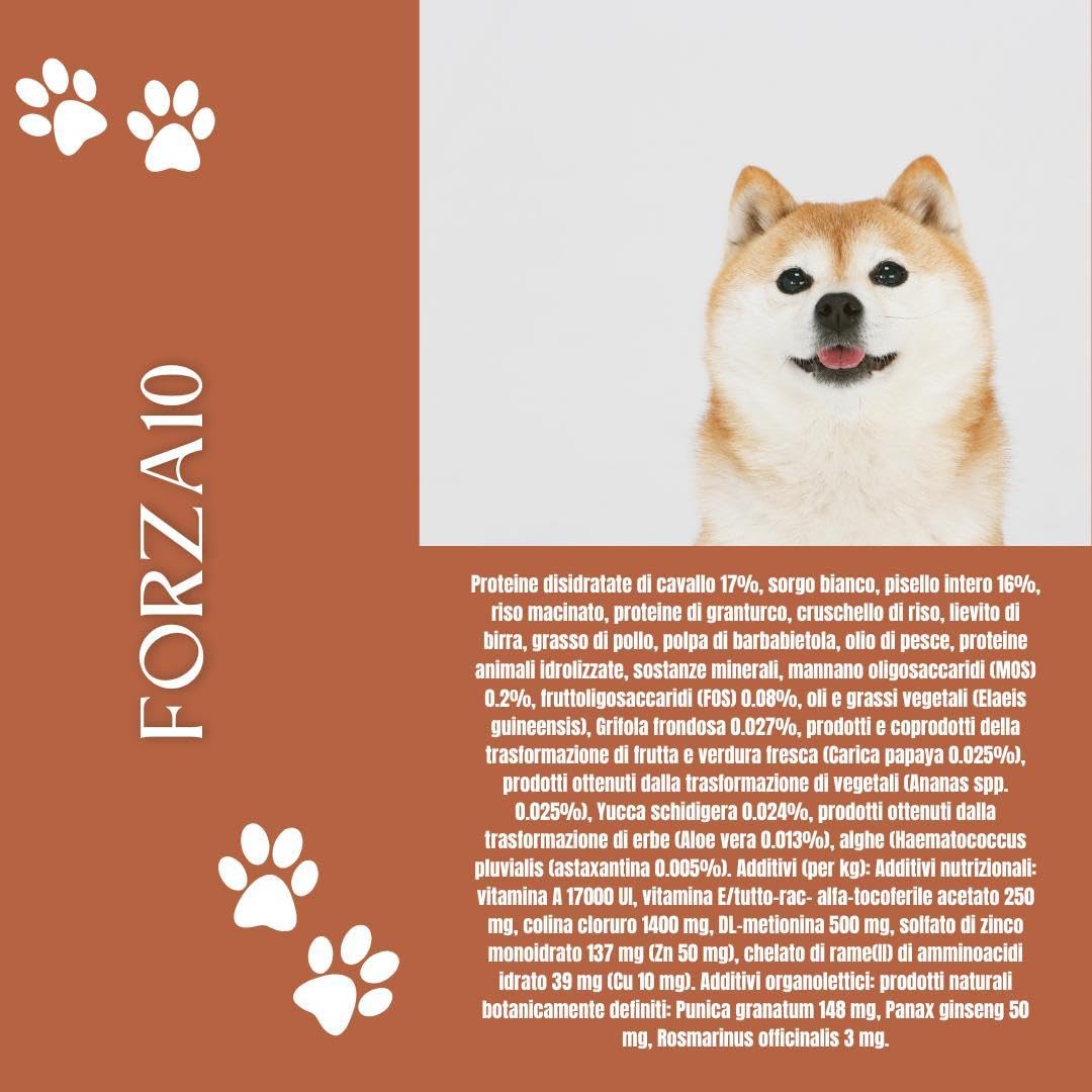 Forza 10 Perro pequeño/Mini Adult Mono sabor caballo y guisantes, alimento completo monoproteico para perros adultos de talla pequeña, hipoalergénico, paquete de 1,5 kg.