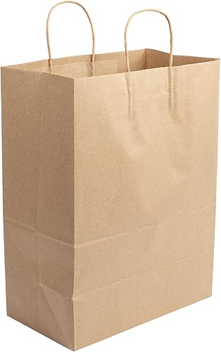 AmerCare Royal Case - 250 bolsas de papel kraft reciclables con asas trenzadas, embalaje ecológico de color marrón, bolsas de compras duraderas, 13