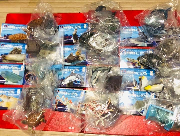 フィギュア　海遊館ミュージアム(全12種)コンプリート フィギュア 海遊館ミュージアム(全12種)コンプリート