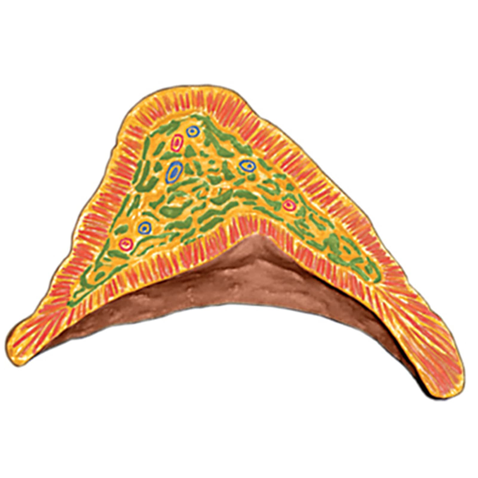 Modele dydaktyczne z zakresu biologii, Model anatomiczny narządów ciała człowieka w skali 1:1 - odłączany model medyczny do nauki układania puzzli