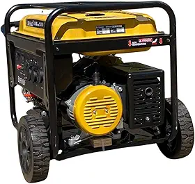 GERADOR A GASOLINA MONOFASICO 127V/220V MAXIMA 10KVA PART. ELETRICA COM BATERIA BUFFALO BFGE10.000 PLUS