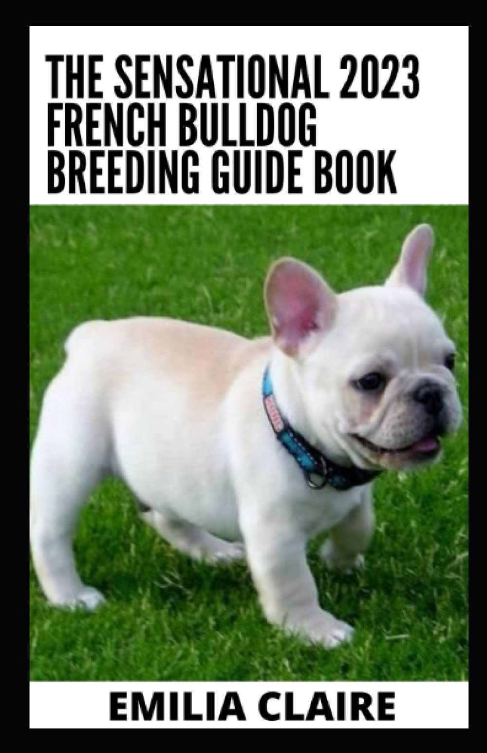 The Sensational 2023 French Bulldog Breeding Guide Book: All You Need To Know