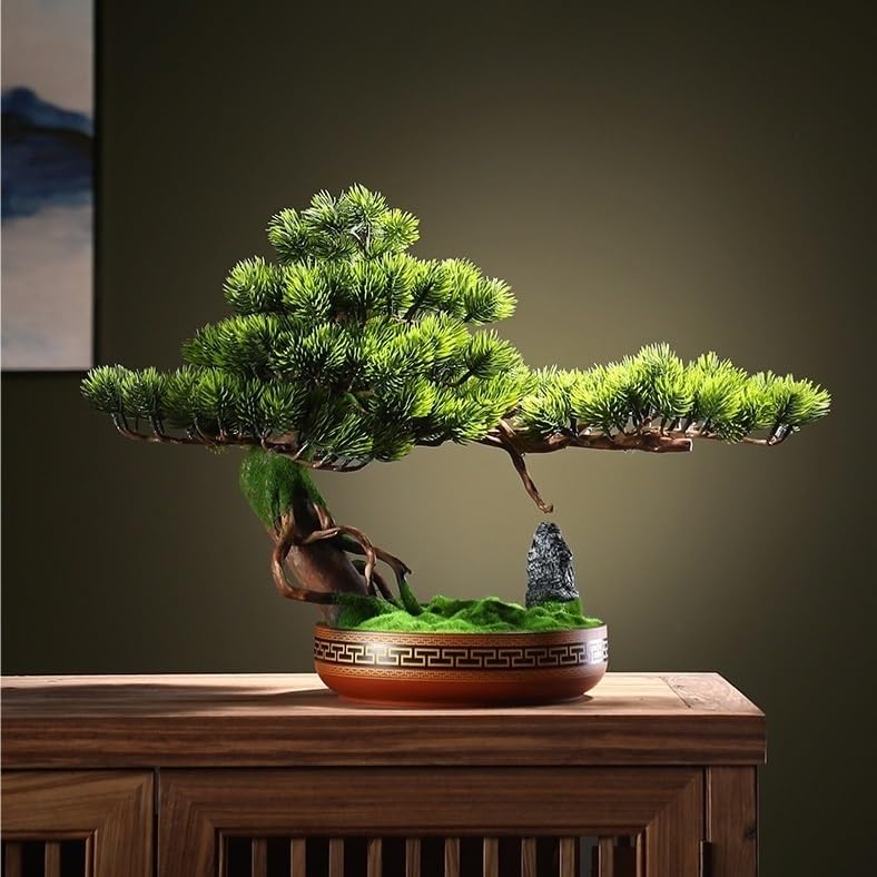 pelargonium bonsai lemon tree Pelargonium graveolens bontrosai – Serres Lavoie main image 1