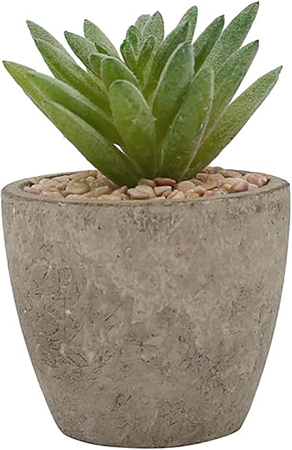 Amazon 多肉植物 陶器鉢 人工観葉植物 観葉植物 かわいいシマウマ 人工多肉植物 植物鉢植え フェイク多肉植物 窓の装飾品 美術館 撮影 室内 愛する人への贈り物 タイプ12 人工観葉植物 オンライン通販