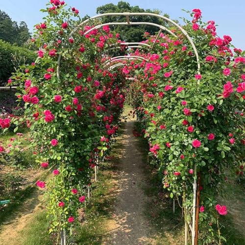 Treillis de jardin robuste contre l'affaissement des plantes - 4