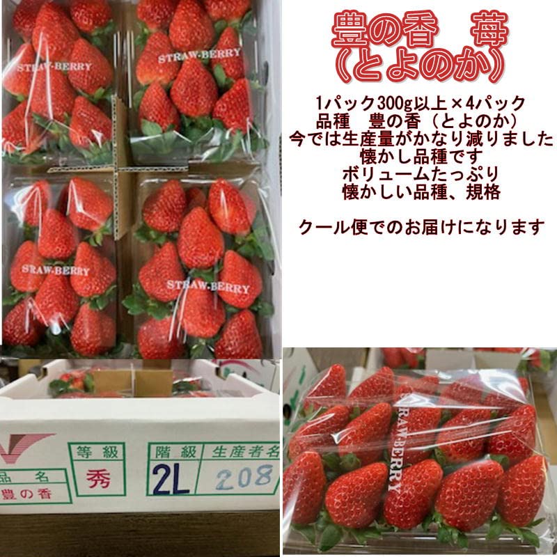 いちご　4パック　熊本産　300g×20パック Amazon.co.jp: いちご とよのか 豊の香 1パック300g以上×4パック 熊本