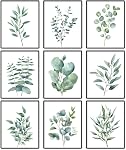 DOODLREAM 9 Pack Unframed Waterproof Eucalyptus Leaves Canvas Wall Art Decors Leaf 20 x 25cm Canvas Wall Posters for Home Office Room Decor