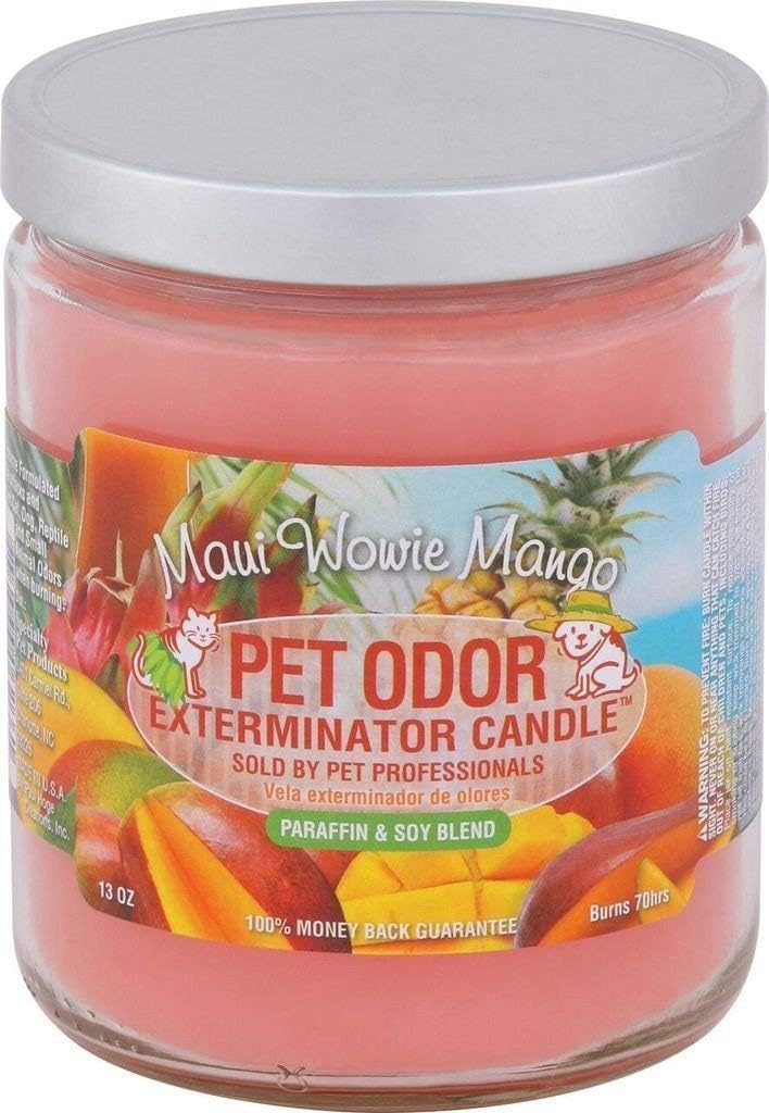 Maui Wowie Mango Pet Odor Exterminator 13 Ounce Jar Candle - Pack of 2