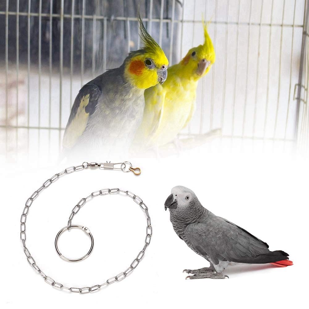 Qkbuza Papegaaipootketting, automatisch intrekbaar metalen