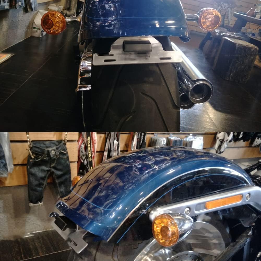 crazy sport License Plate Holder Mount Fits For Harle Davids FAT BOY FLFB 107 2018-2020 FLFBS 114 2018-2026 Motorcycl Fender Registration Tail Bracket LED Light