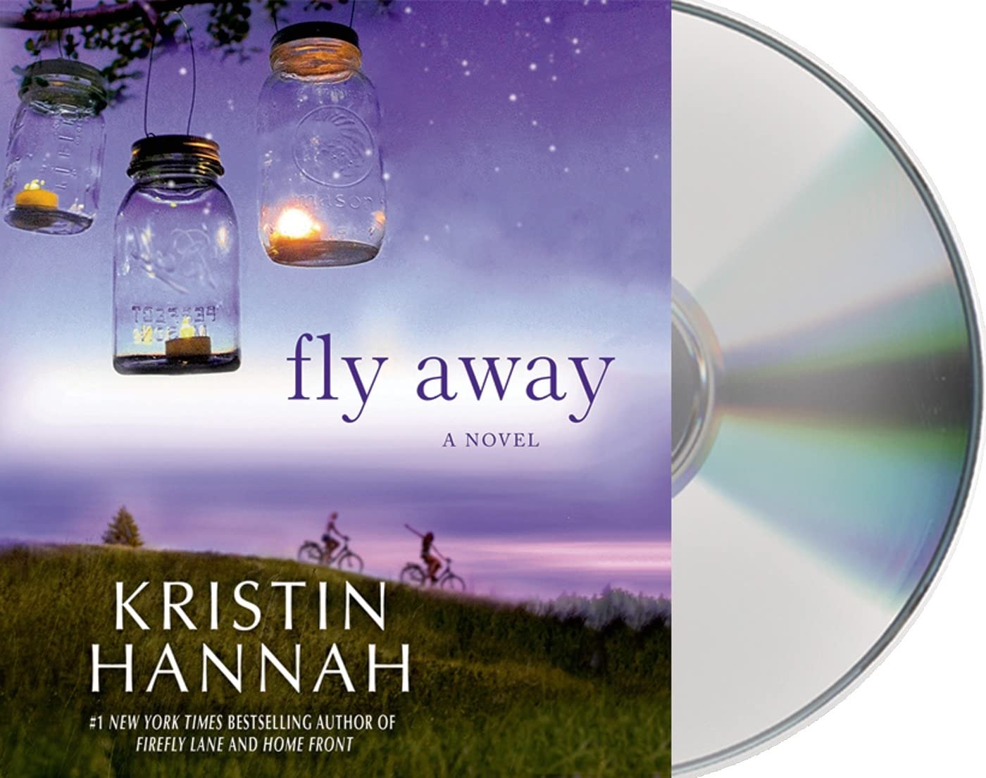 Fly Away: A Novel