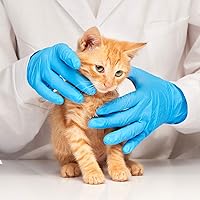 Vista 2 de Basic Medical NGPF 7004 - Guantes de examen de nitrilo azules, sin látex y sin polvo, caja de 1000 unidades, XL