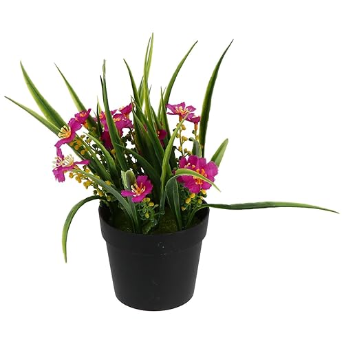 Simulation Potted Plant Artificial Clivia for Living Decor Easy Care