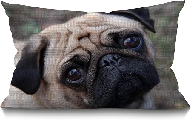 BGBDEIA Pug Dog Cushion Cover Outdoor Linen Pillowcase Funny Cute Pug Dog Face Throw Pillow Cover 30cm X 50cm Hippie Decorative Oblong Lumbar Pillow Case for Livingroom Sofa Bed ,30x50cm 12x20 Inch