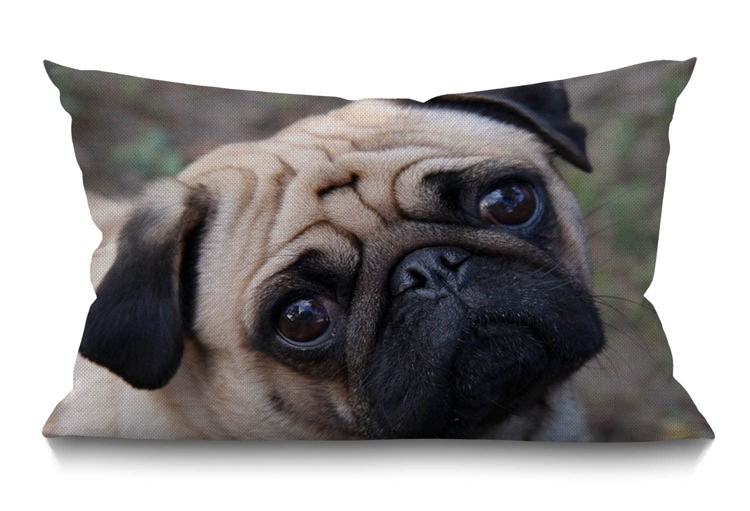 BGBDEIA Pug Dog Cushion Cover Outdoor Linen Pillowcase Funny Cute Pug Dog Face Throw Pillow Cover 30cm X 50cm Hippie Decorative Oblong Lumbar Pillow Case for Livingroom Sofa Bed,30x50cm 12x20 Inch