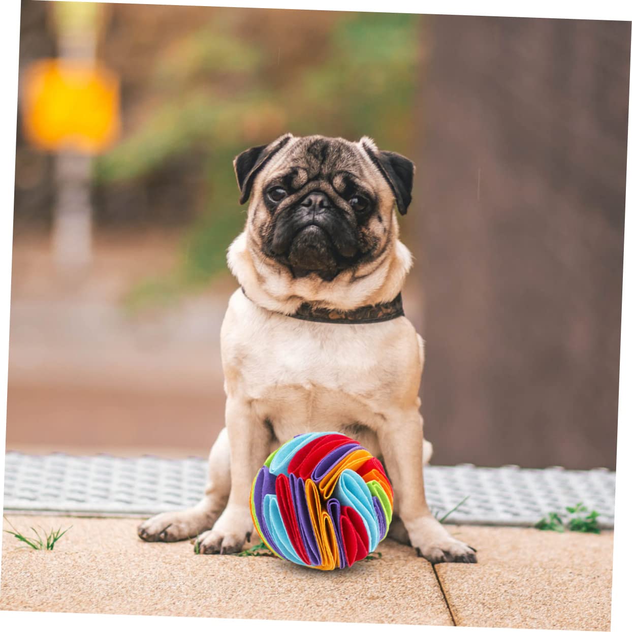 ORFOFE 3 Juguetes para Perros Juguetes Molares para Mascotas Juguete Creativo para Masticar.