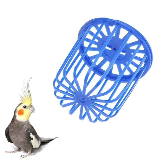 Foto 2 de 6 de Uteruik Jaula de alimentador de Loros para pájaros, Soporte para Frutas, Verduras